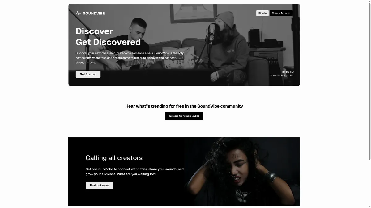 Soundvibe image 3